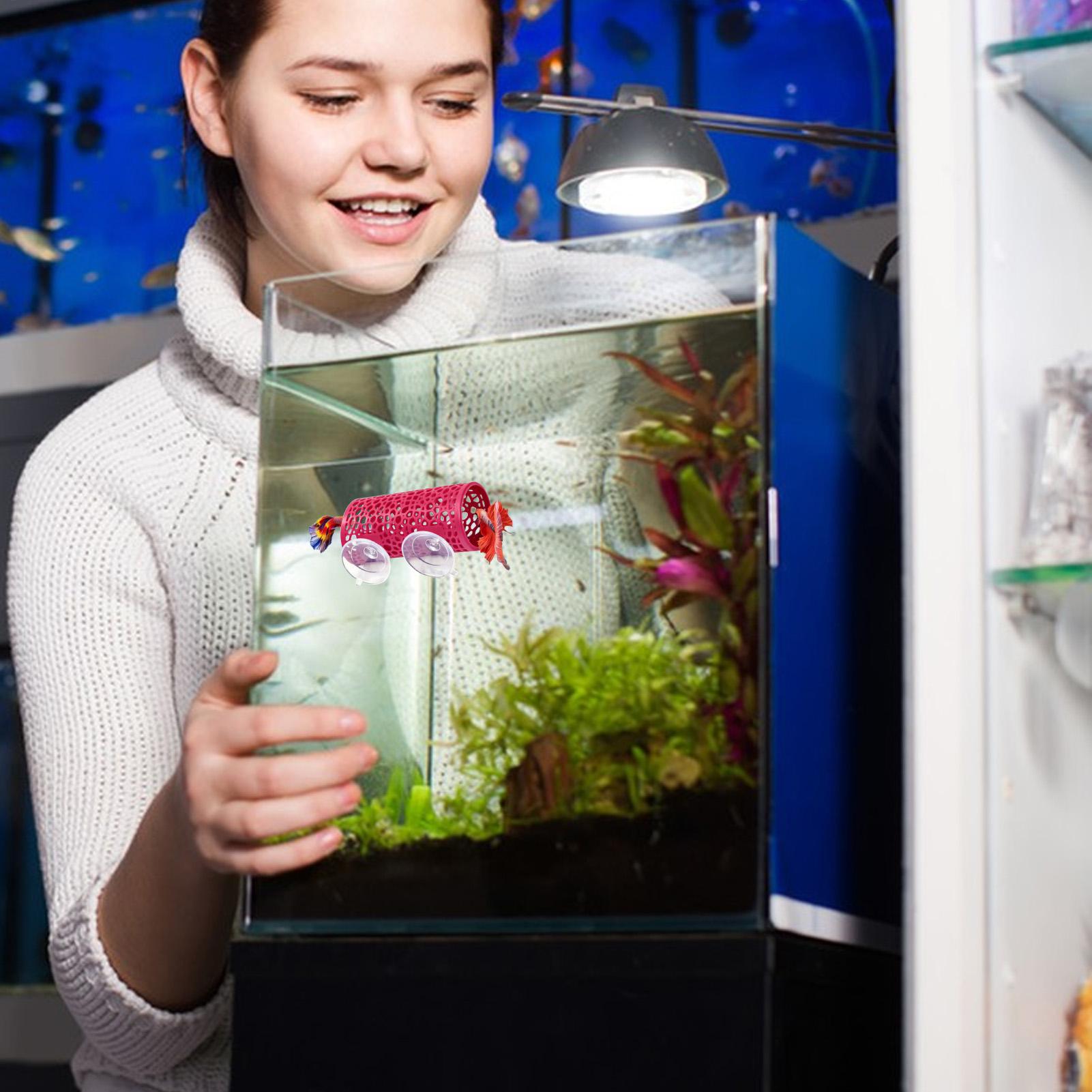 Betta Fish Tank - Betta Habitat Rustplaats Ornament Vis Tunnel