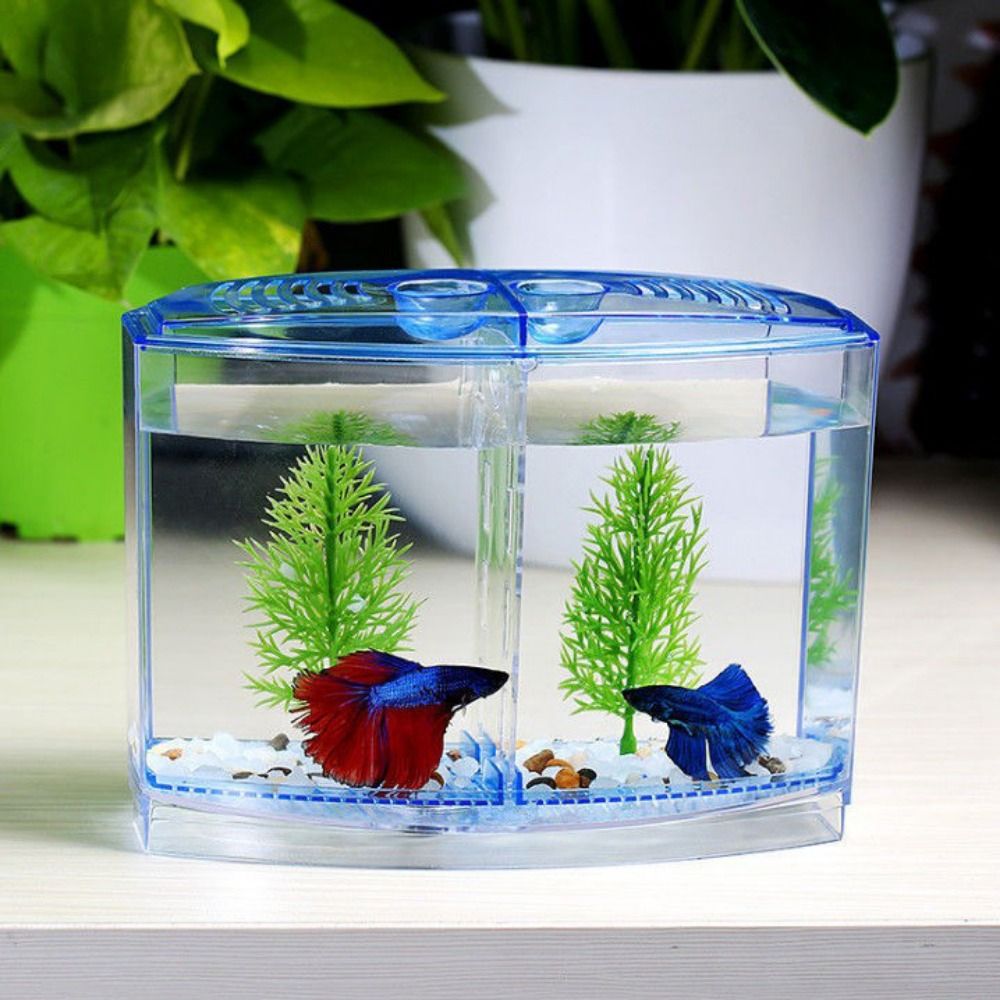 Betta Fish Tank - Transparant Betta-Aquarium, Dubbel Rooster Ruit Guppy-Aquarium,