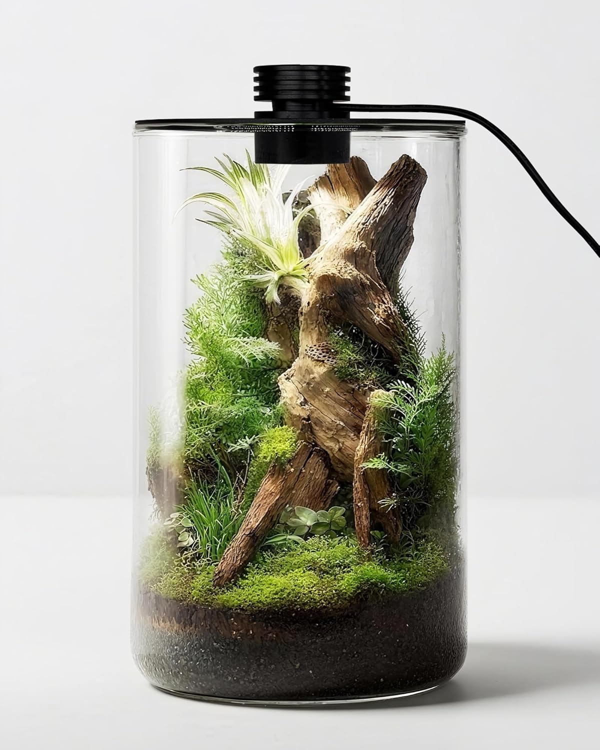 Betta Fish Tank - Glazen terrarium voor binnen met groeilamp,