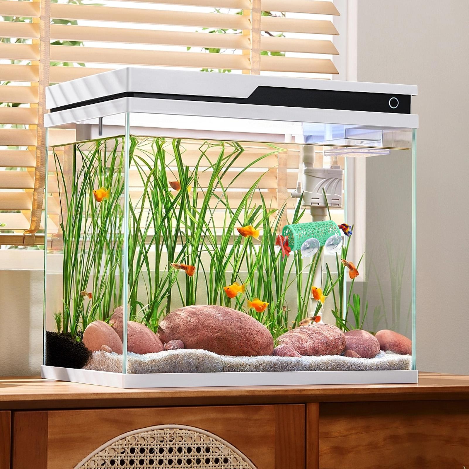 Betta Habitat Rustplaats Ornam - Betta Fish Tank recensie en prijs