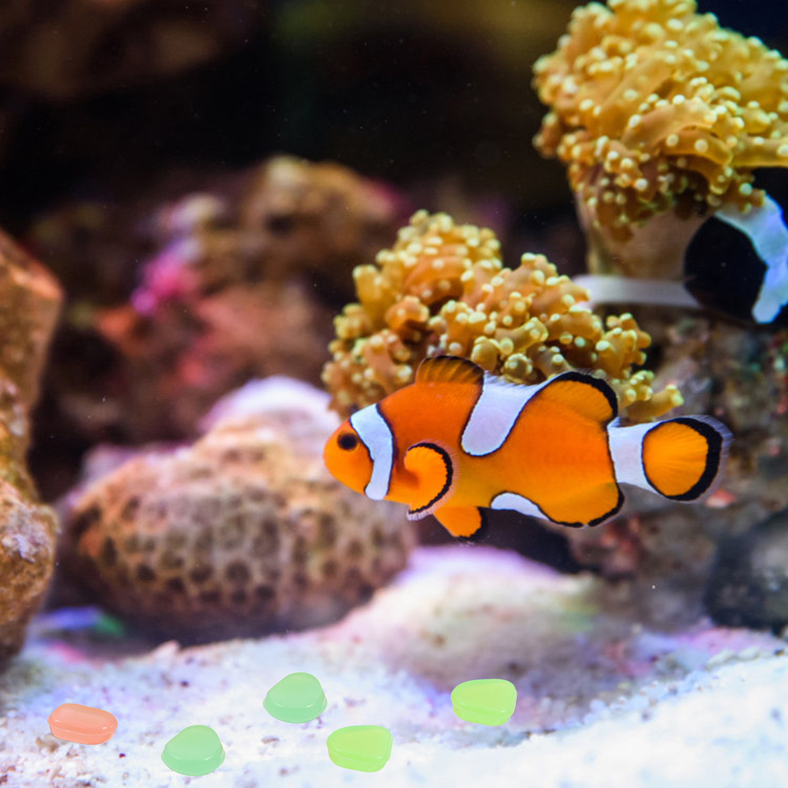 400 stuks Glow in the Dark kie - Fish Tank Gravel recensie en prijs