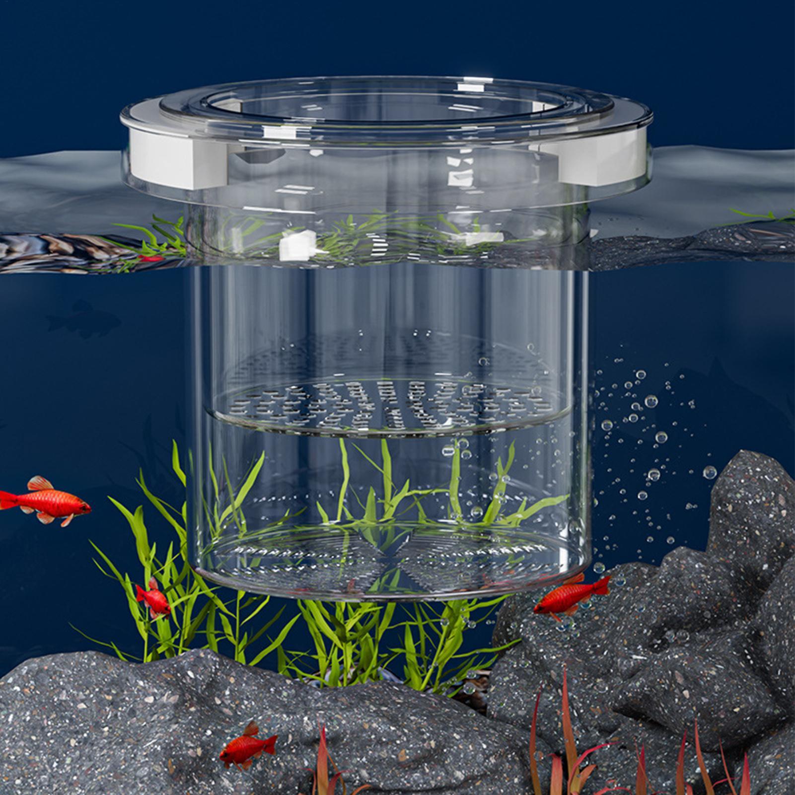 Drijvende viskweek isolatiebox - Betta Fish Tank recensie en prijs