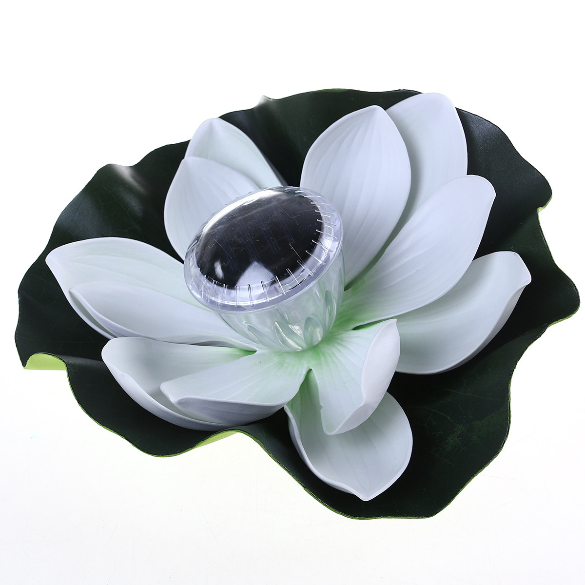 Visvijververlichting decoratie - Aquarium Decor recensie en prijs
