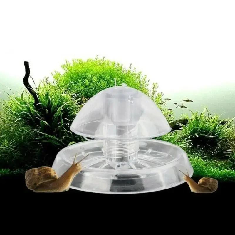 2026 Nieuwe 6/8CM Transparante - Fish Aquarium Home recensie en prijs