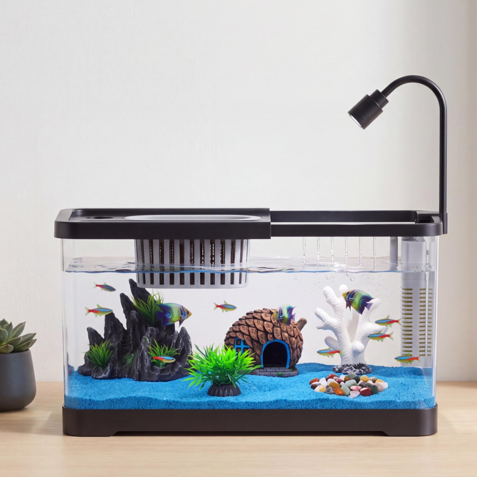 Viskom Starterset met filter e - Betta Fish Tank recensie en prijs