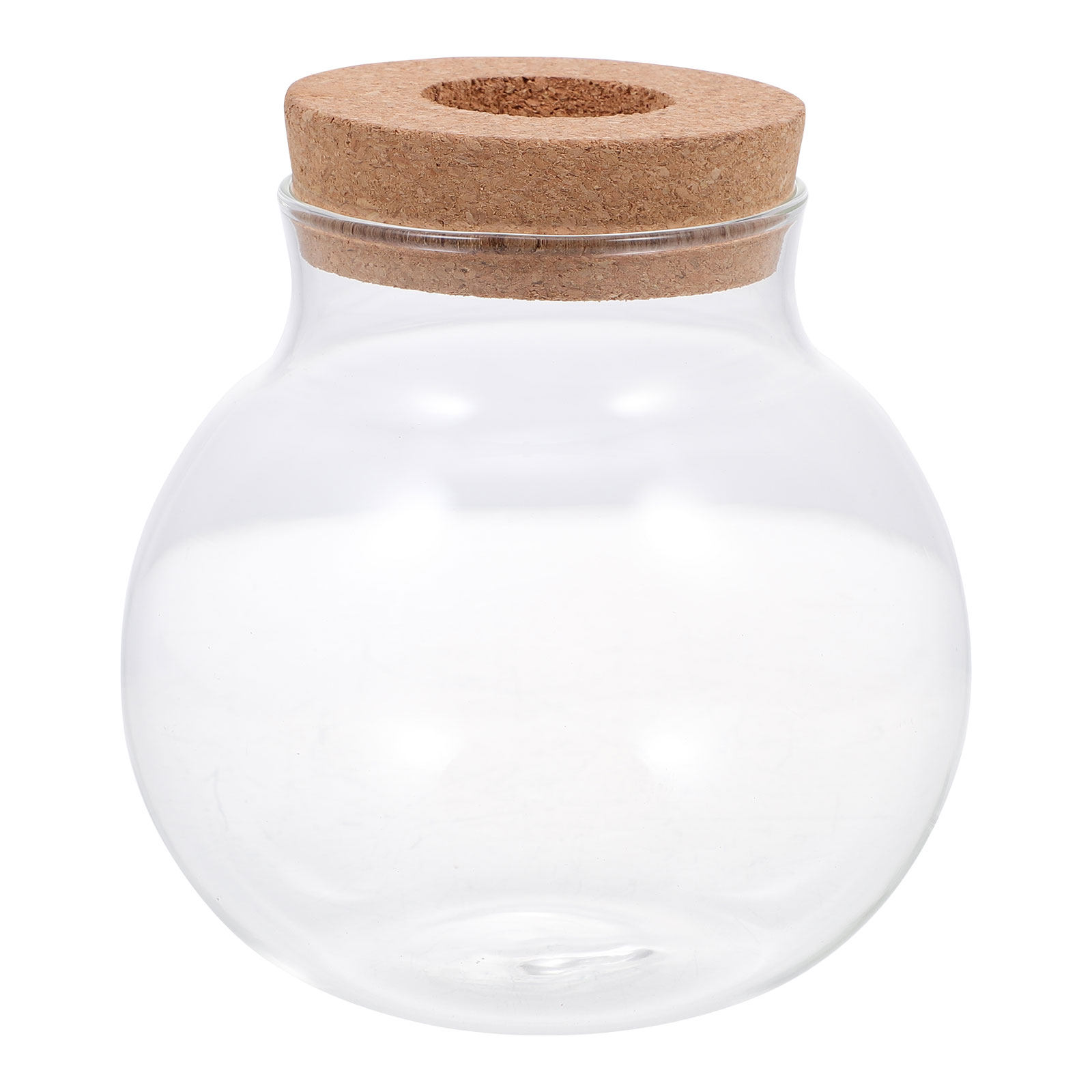 Klein terrarium voor micro-lan - Aquarium Fish Keeping recensie en prijs