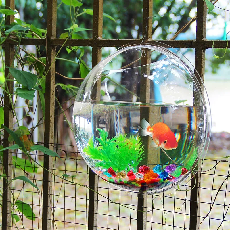 Pinsjar Acryl Viskom Muuropkno - Betta Fish Tank recensie en prijs
