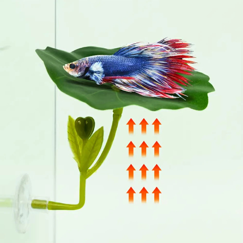 (Ce14)1/5PC Groene bladhangmat - Betta Fish Tank recensie en prijs