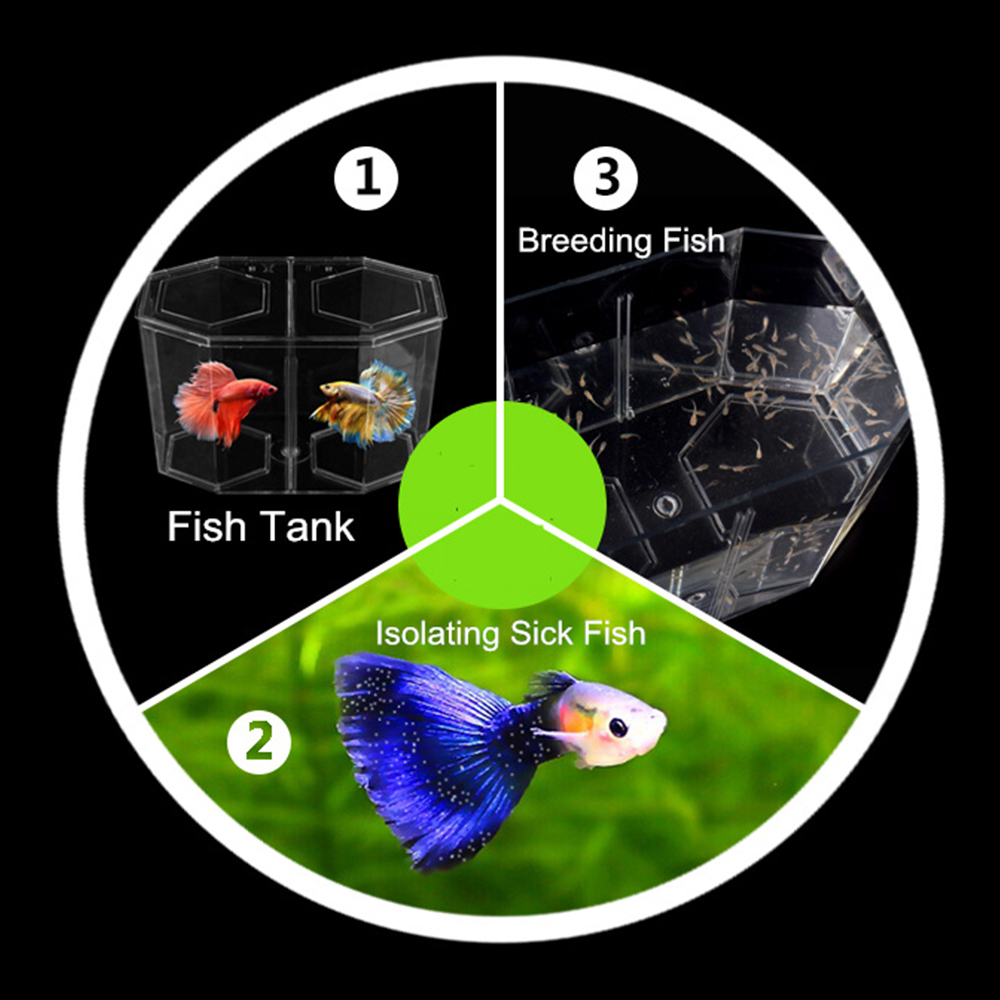 Acryl Twee Splits Guppy Aquari - Betta Fish Tank recensie en prijs