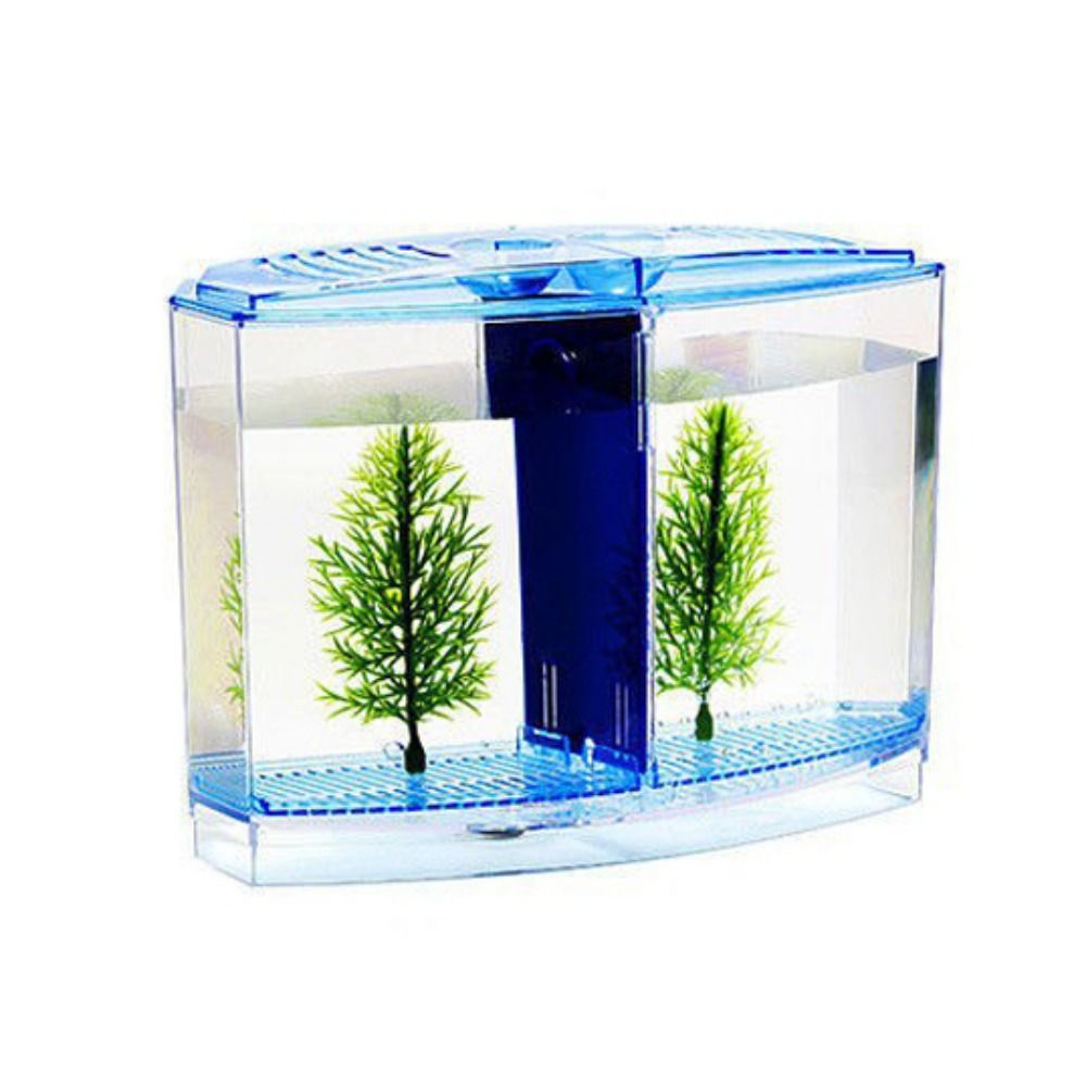 Transparant Betta-Aquarium, Du - Betta Fish Tank recensie en prijs