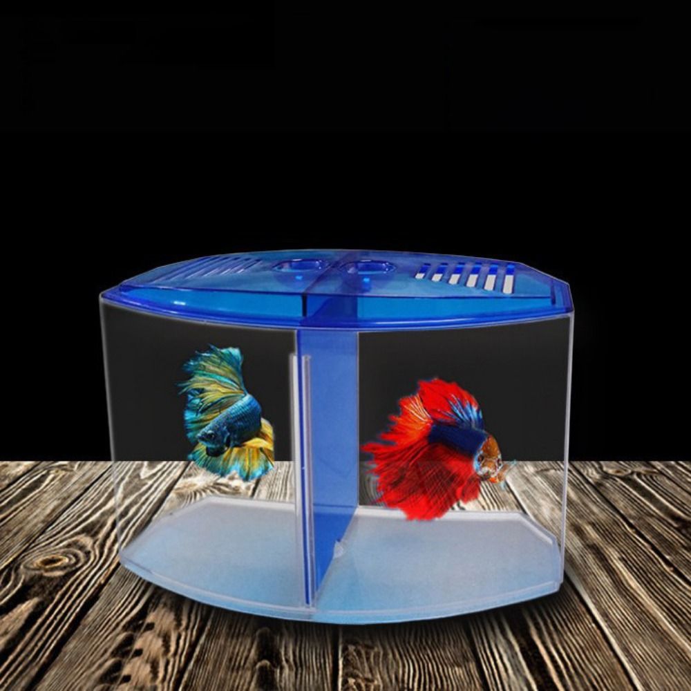 Transparant Betta-Aquarium, Du - Betta Fish Tank recensie en prijs