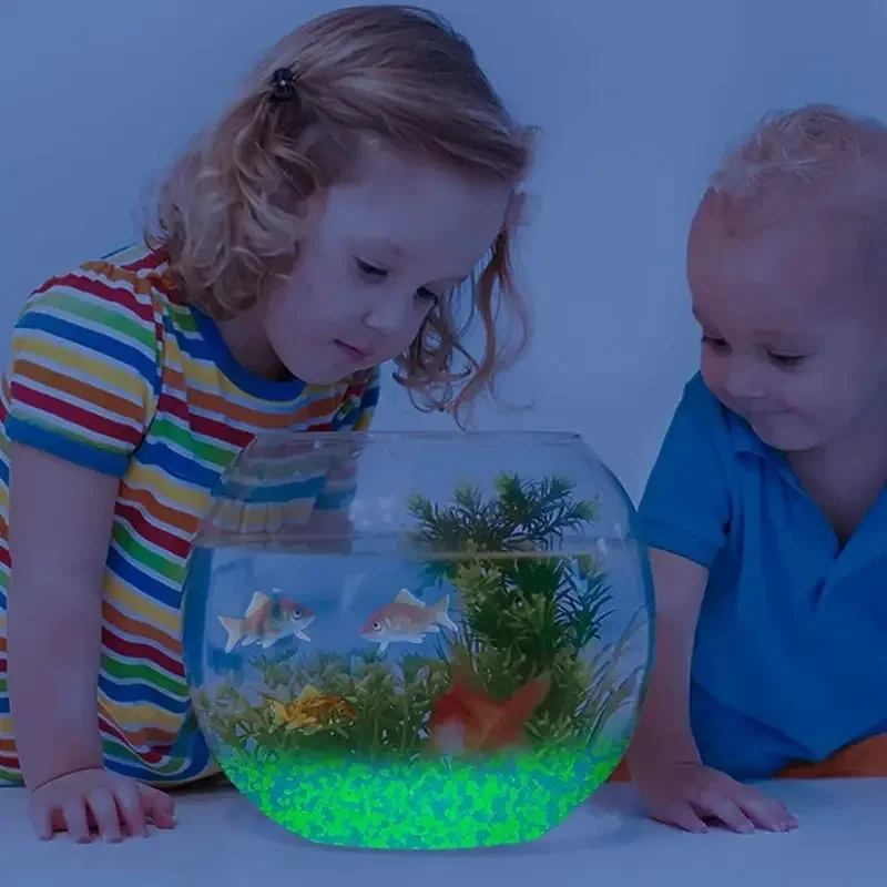 1000 stks 3-5mm Lichtgevende Z - Fish Aquarium Home recensie en prijs
