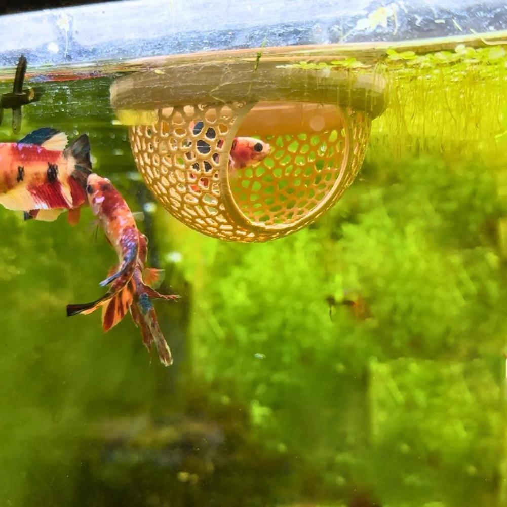 Aquarium Drijvende Grot Vis Ga - Betta Fish Tank recensie en prijs