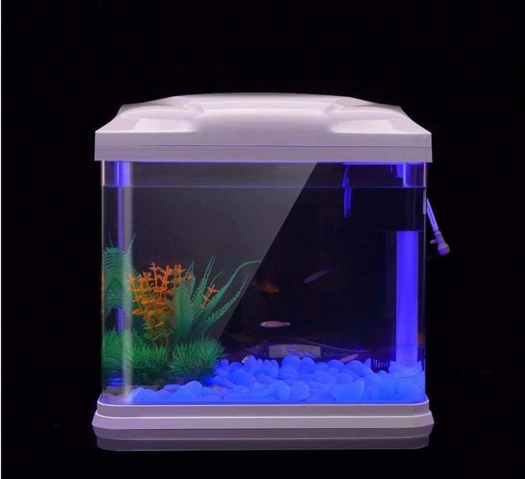 Aquarium Rotsen Glow Blue Kiez - Fish Aquarium Home recensie en prijs