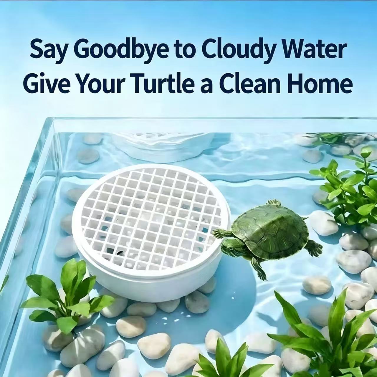 Schildpaduitwerpselenverzamela - Aquarium Fish Keeping recensie en prijs