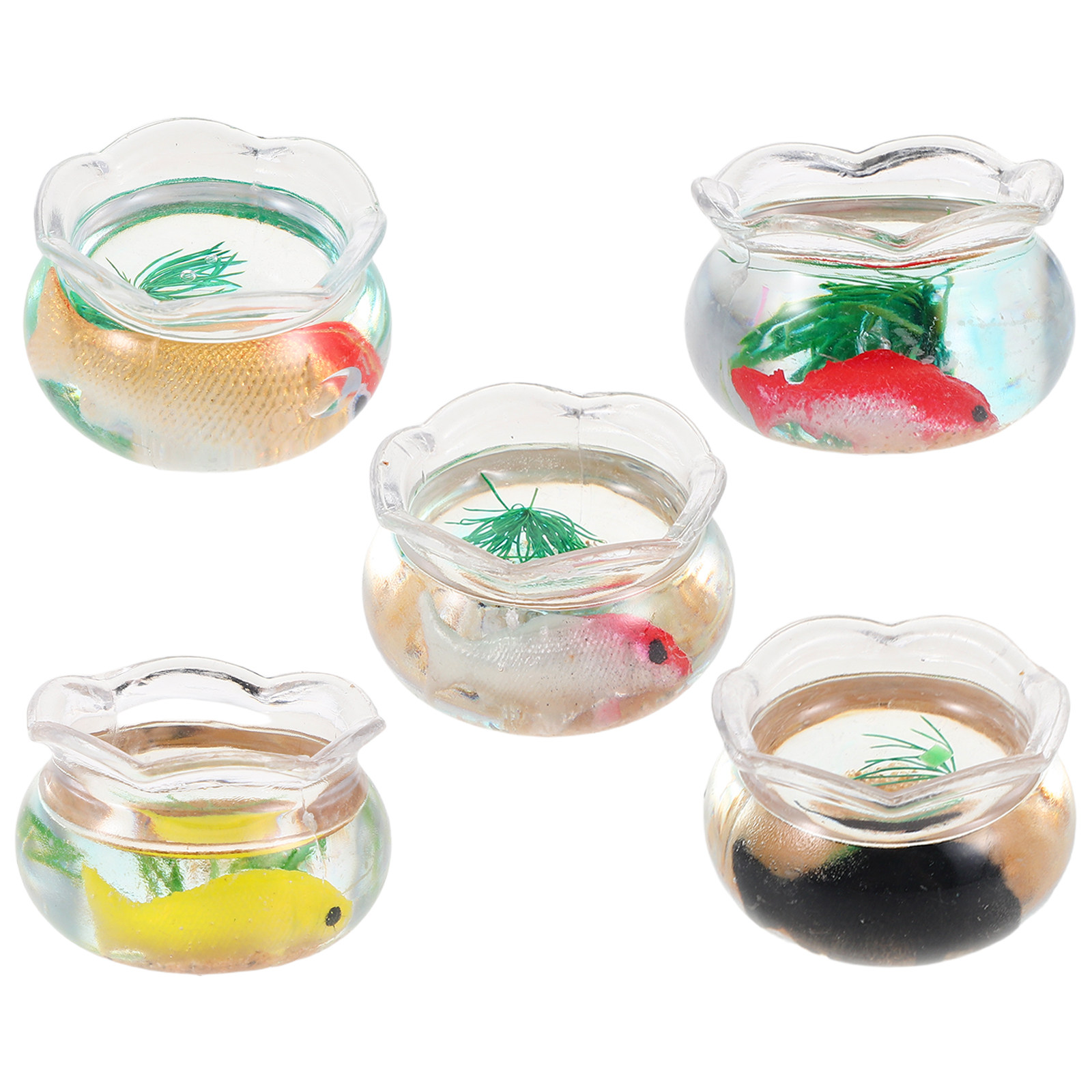 5 stuks mini-aquarium met real - Aquarium Plants recensie en prijs