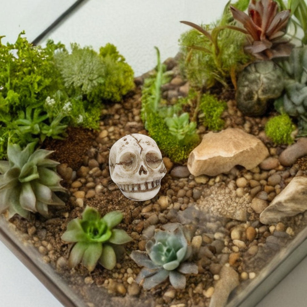 20 stuks harsen grinsende sche - Aquarium Decor recensie en prijs