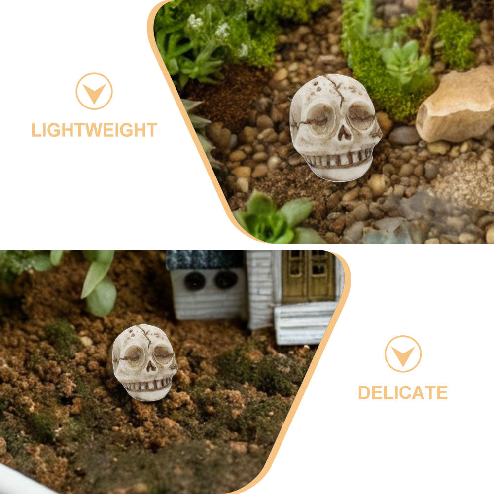 20 stuks harsen grinsende sche - Aquarium Decor recensie en prijs