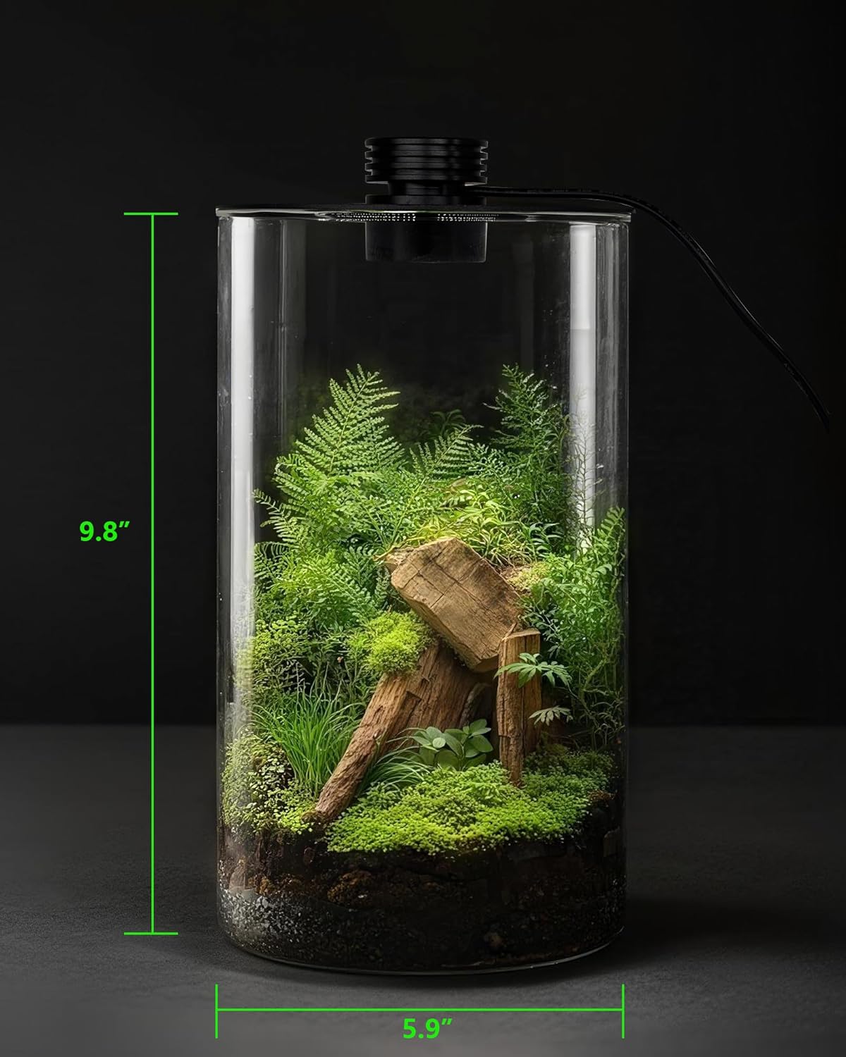 Glazen terrarium voor binnen m - Betta Fish Tank recensie en prijs