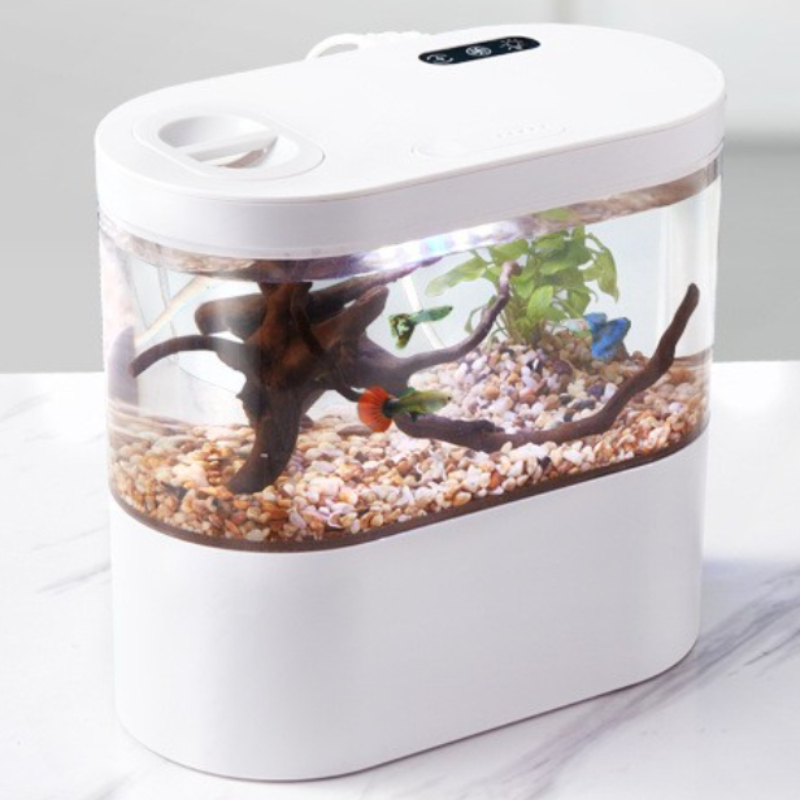 Creatief mini-aquarium voor op - Betta Fish Tank recensie en prijs