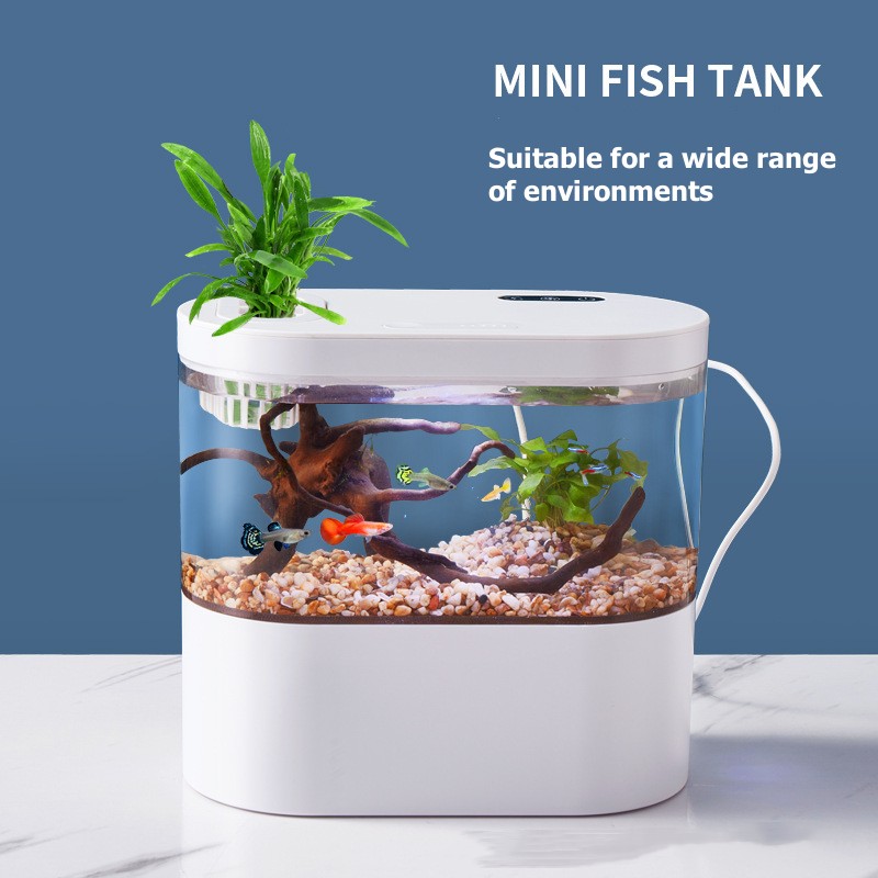 Creatief mini-aquarium voor op - Betta Fish Tank recensie en prijs