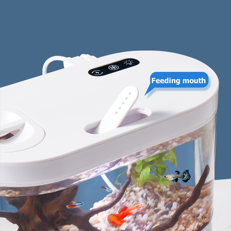 Creatief mini-aquarium voor op - Betta Fish Tank recensie en prijs