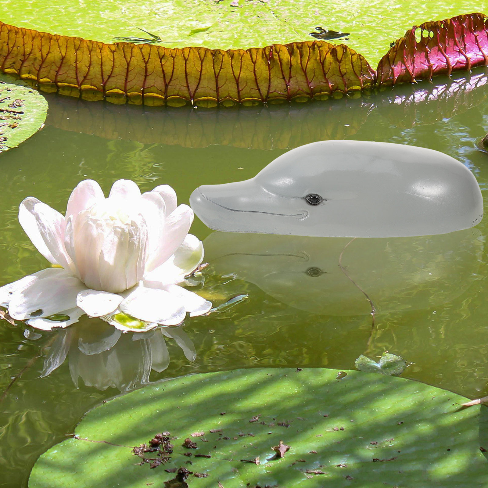 Hoogwaardig dolfijnhoofdorname - Aquarium Decor recensie en prijs