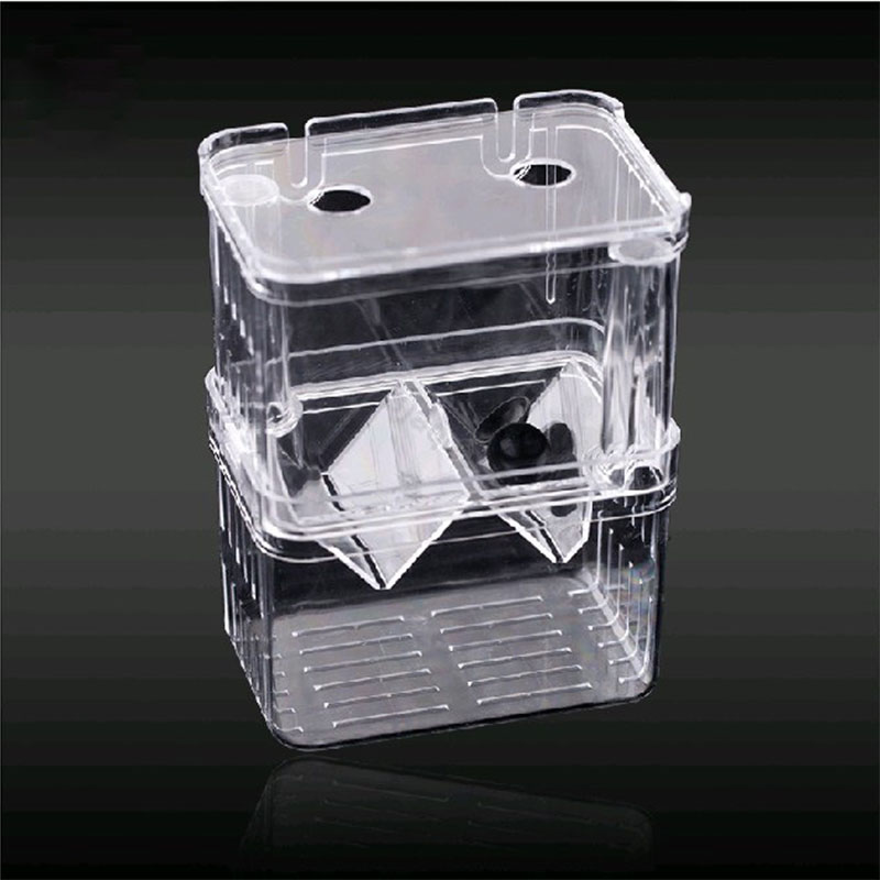 Pauw Vis Fokken Isolatie Box A - Betta Fish Tank recensie en prijs